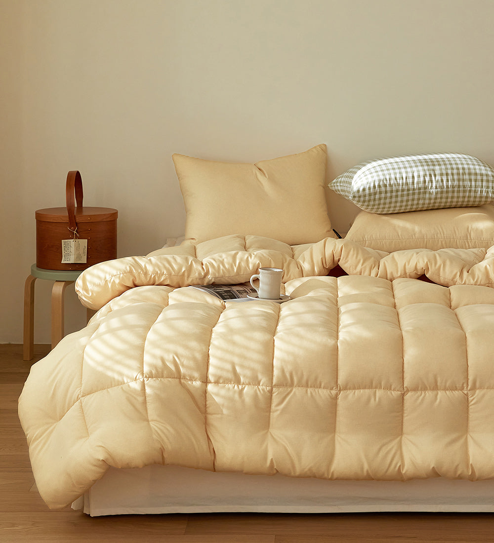 Stay Dust-Free Comforter (4 Seasons)